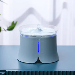 Automatic Water Feeder for Dogs